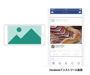 Facebook広告 インストリーム