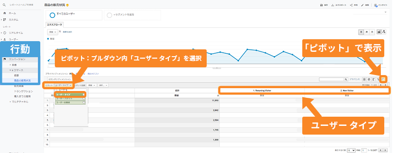 Google アナリティクス ユーザー タイプ ピボット